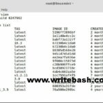How to install Docker on Linux Mint 18 how-to-install-docker-on-linux-mint-18-150x150 How to install Docker on Linux Mint 18