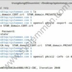 How to convert SSL Nginx cert to IIS cert how-to-convert-ssl-nginx-cert-to-iis-cert-150x150 How to convert SSL Nginx cert to IIS cert
